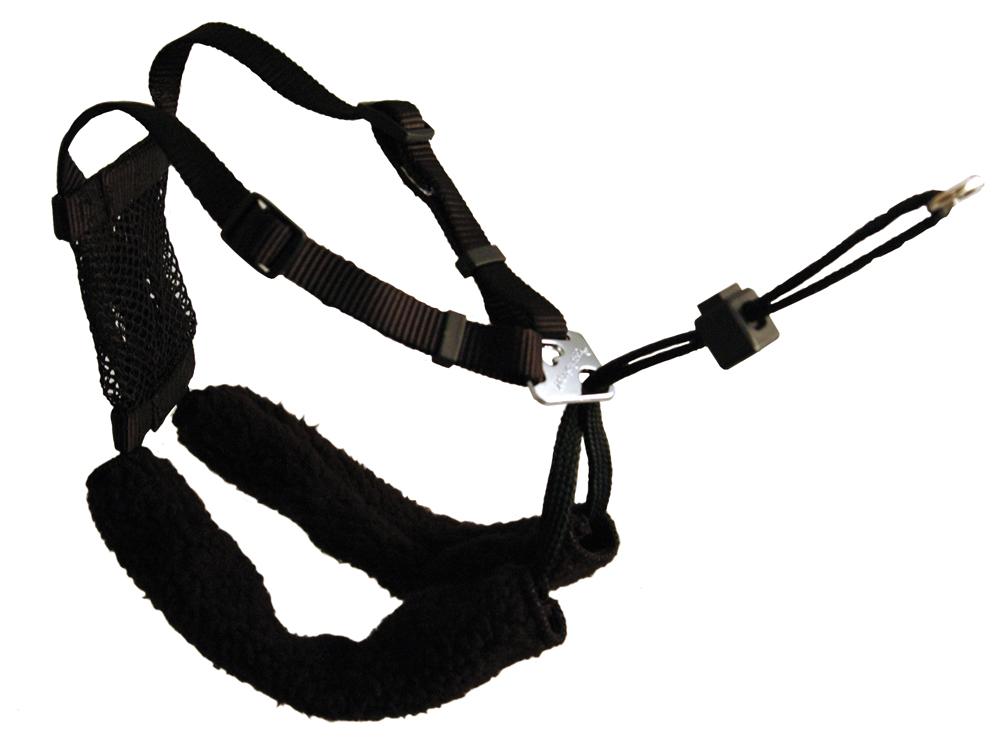 tightening dog harness