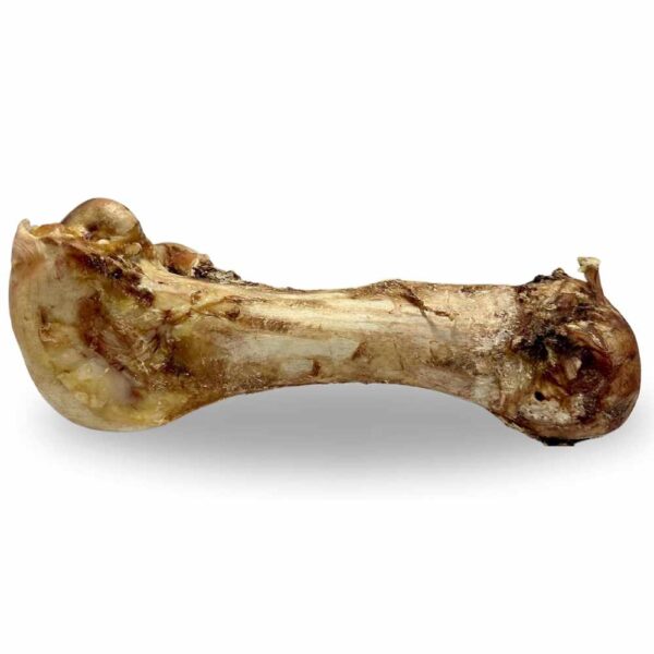 OSTRICH DINO BONE1