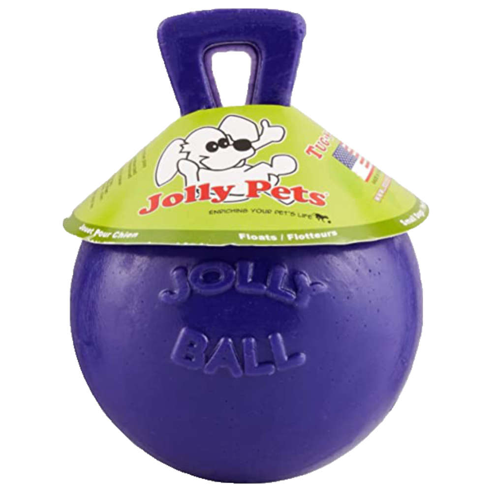 jolly ball for dogs